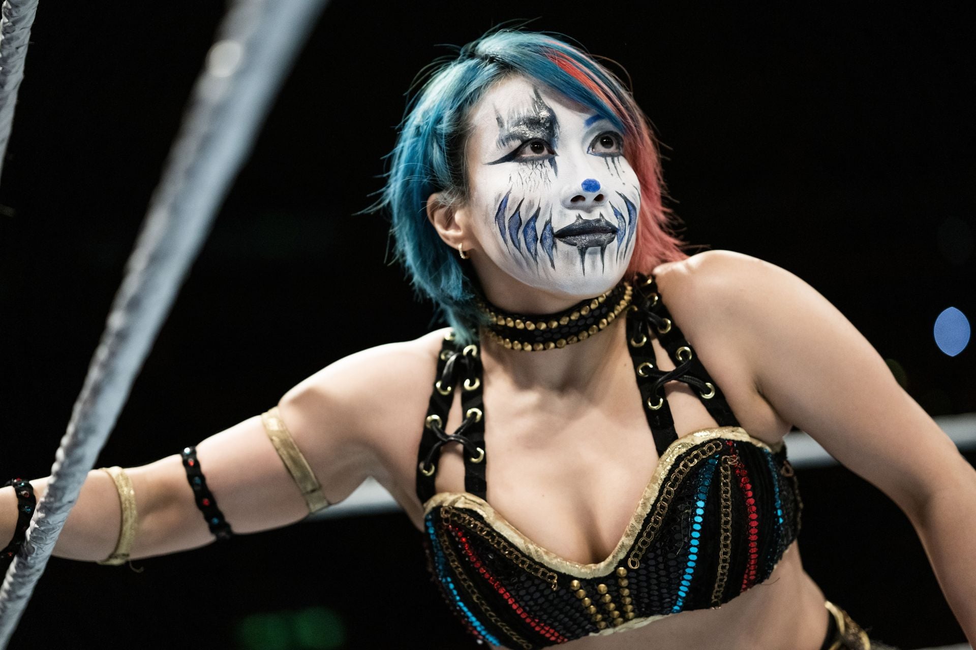 Asuka Issues Personal Update Amid WWE Hiatus