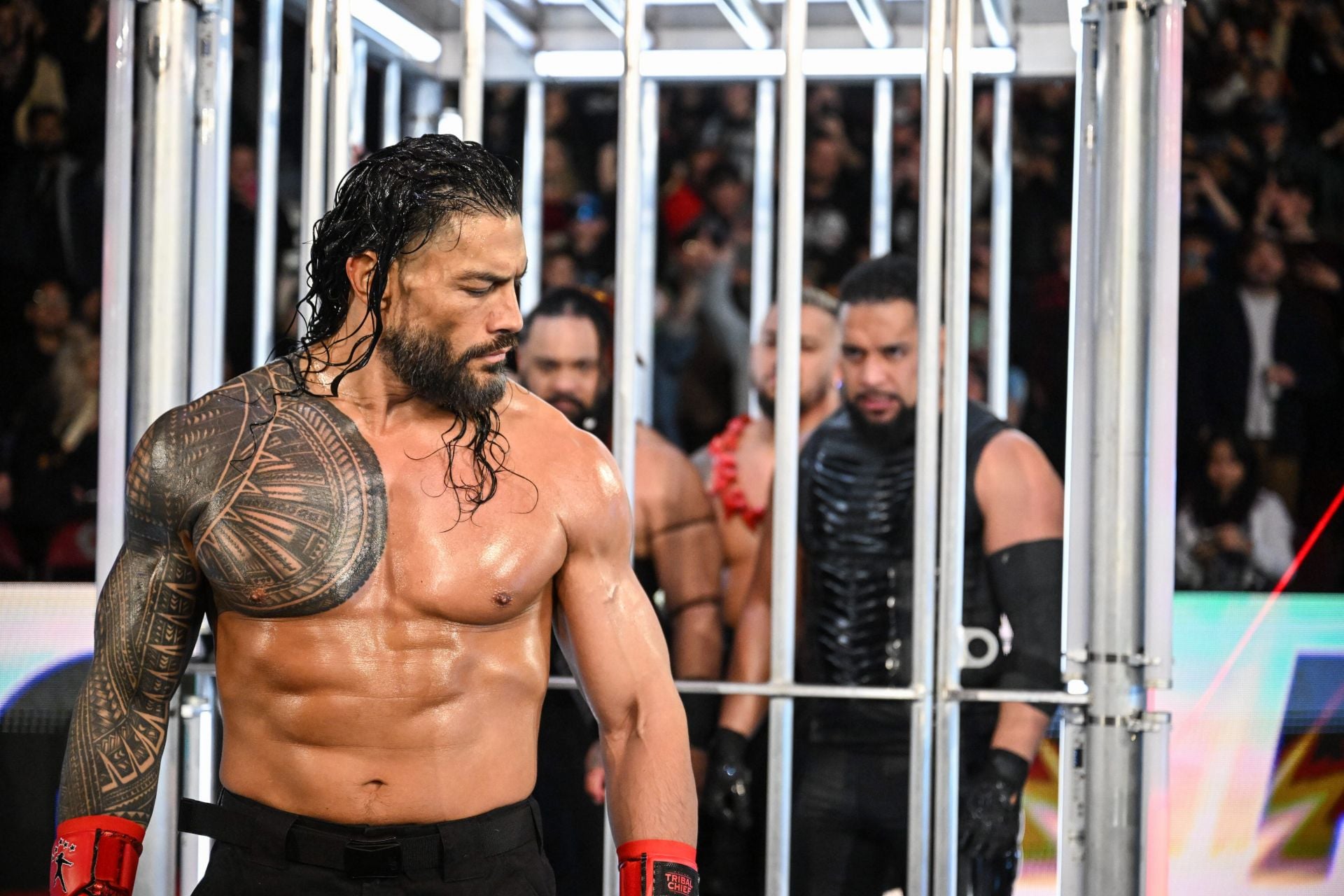 Predicting Every Member of the Likely Bloodline vs. 946 WarGames Match at WWE Survivor Series 2026