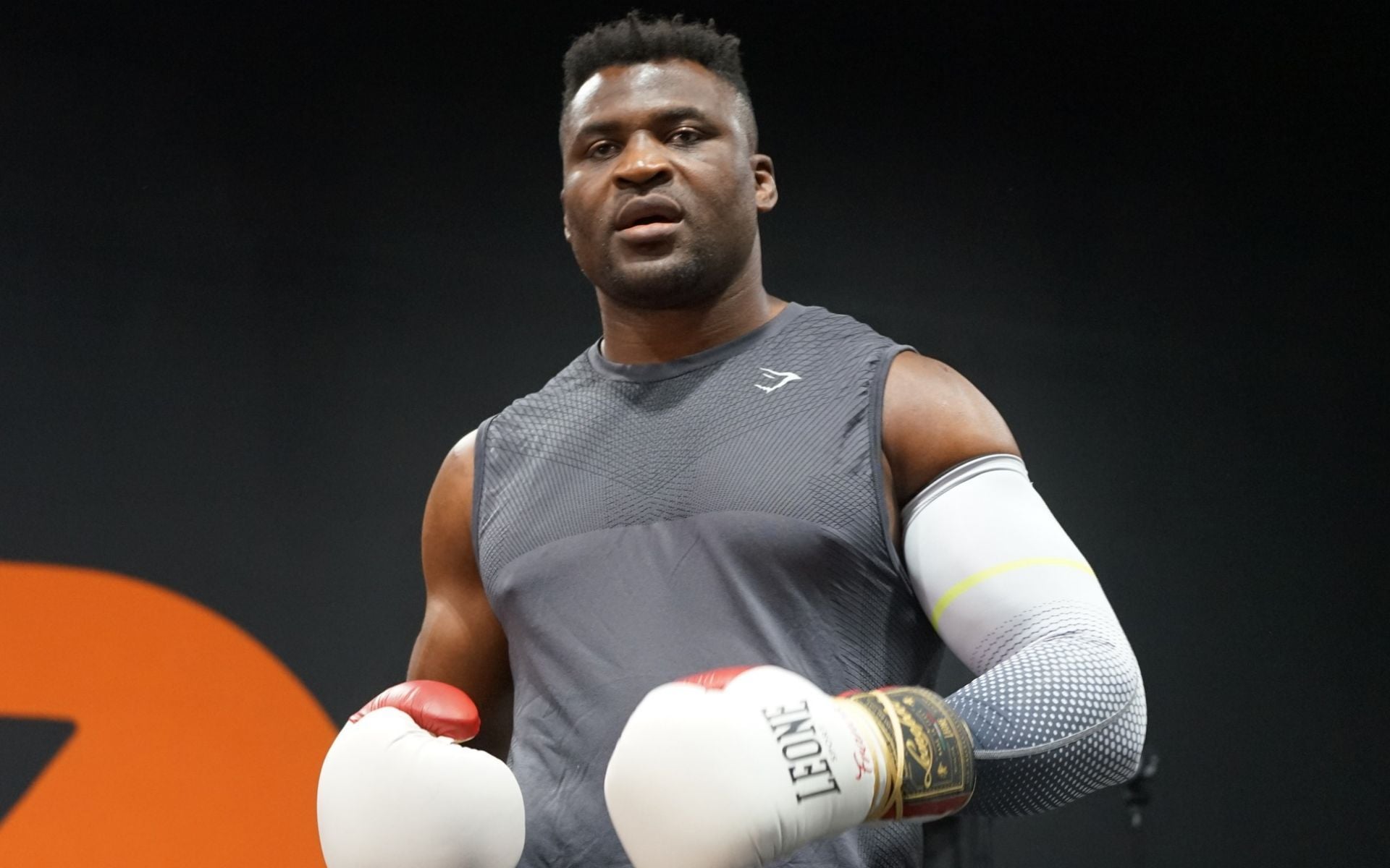"I’d trade blows with him" - Fedor Emelianenko challenges Francis Ngannou for boxing fight and identifies 'The Predator's weakness