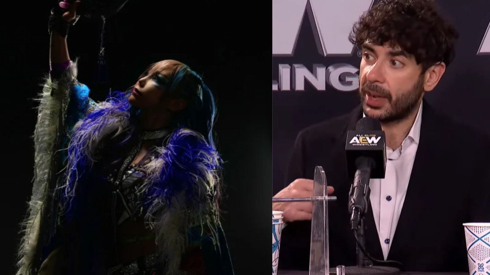Backstage reason Kairi Sane did not debut for AEW at WrestleDream 2026 - Report