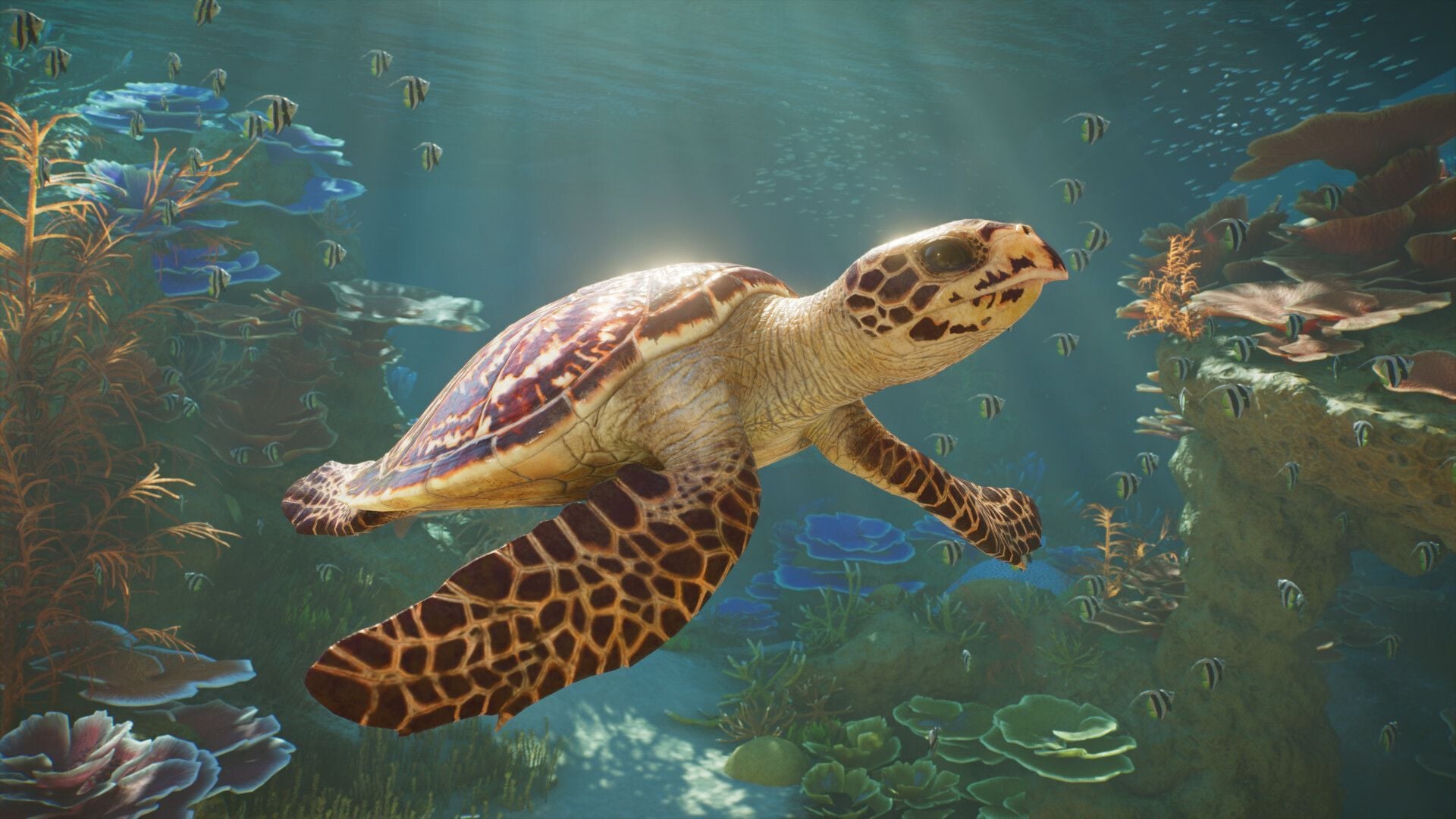 How to get started in Planet Zoo 2? Best beginner tips and tricks explored