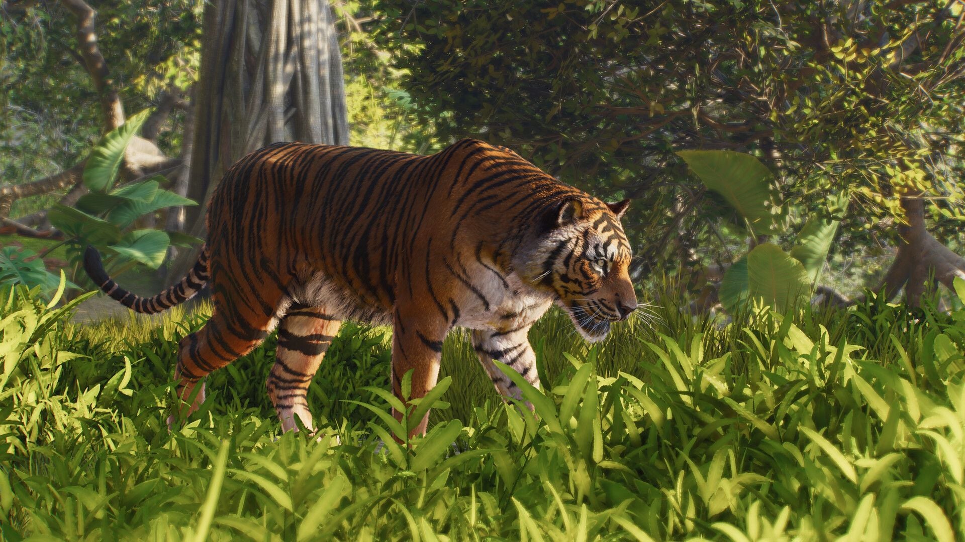 All Planet Zoo 2 game modes explained
