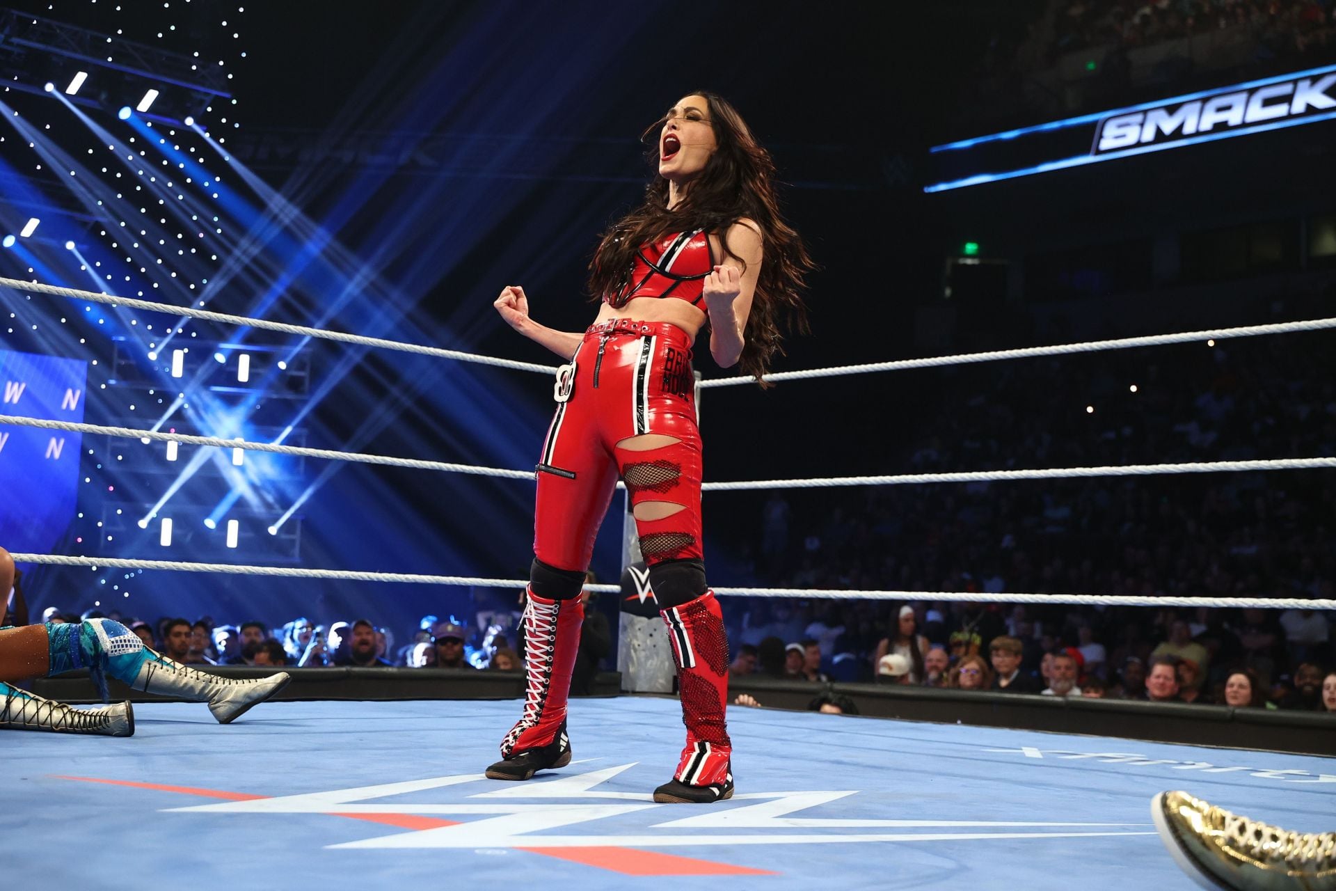 "Unfortunately" - Brie Bella shares an update amid WWE absence due to injury 