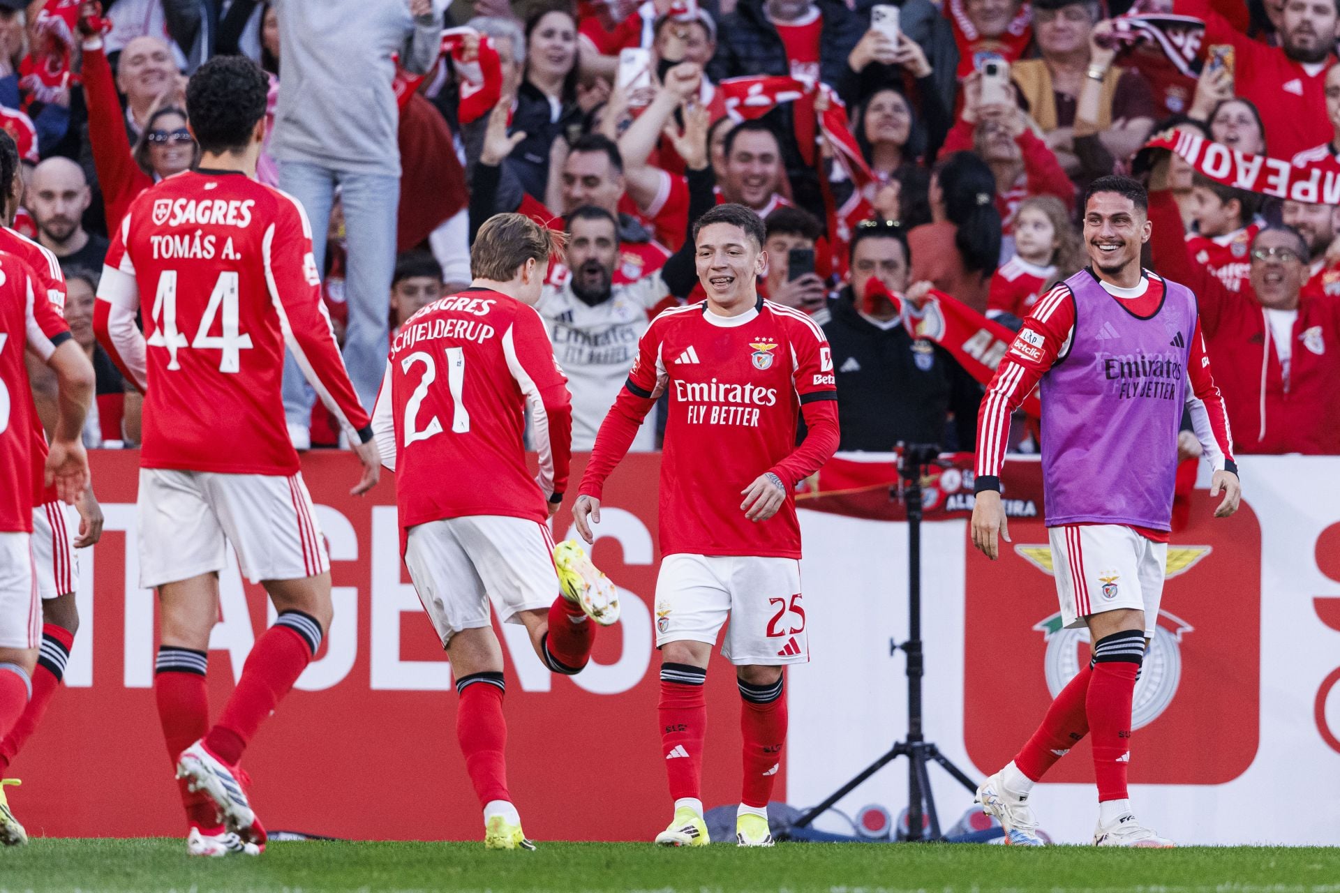 Benfica vs Vitoria de Guimaraes Prediction and Betting Tips | October 11th 2026