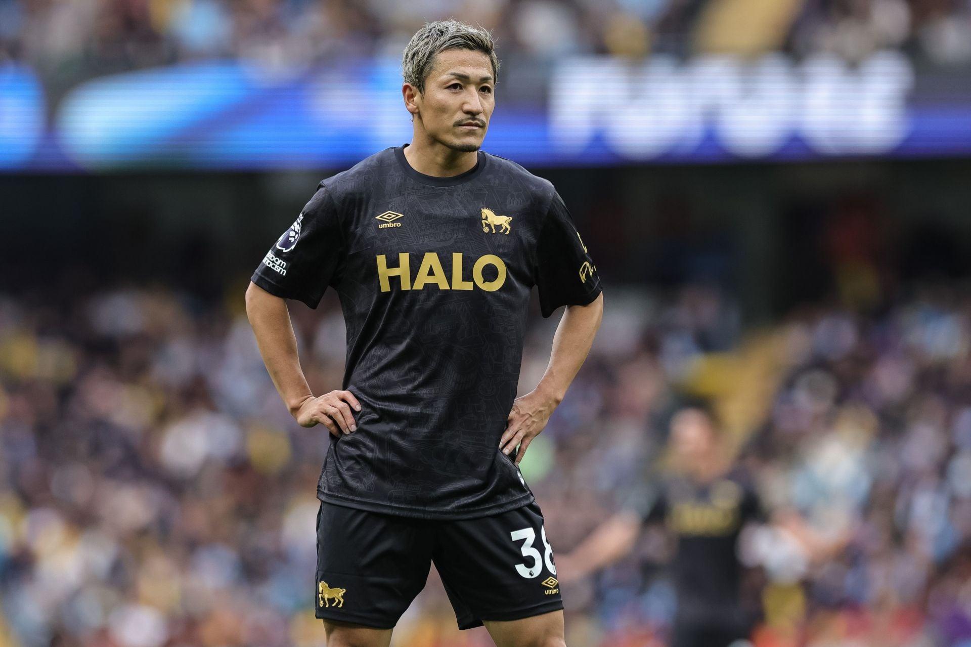 Ipswich Town vs Nottingham Forest Prediction and Betting Tips | October 23rd 2026