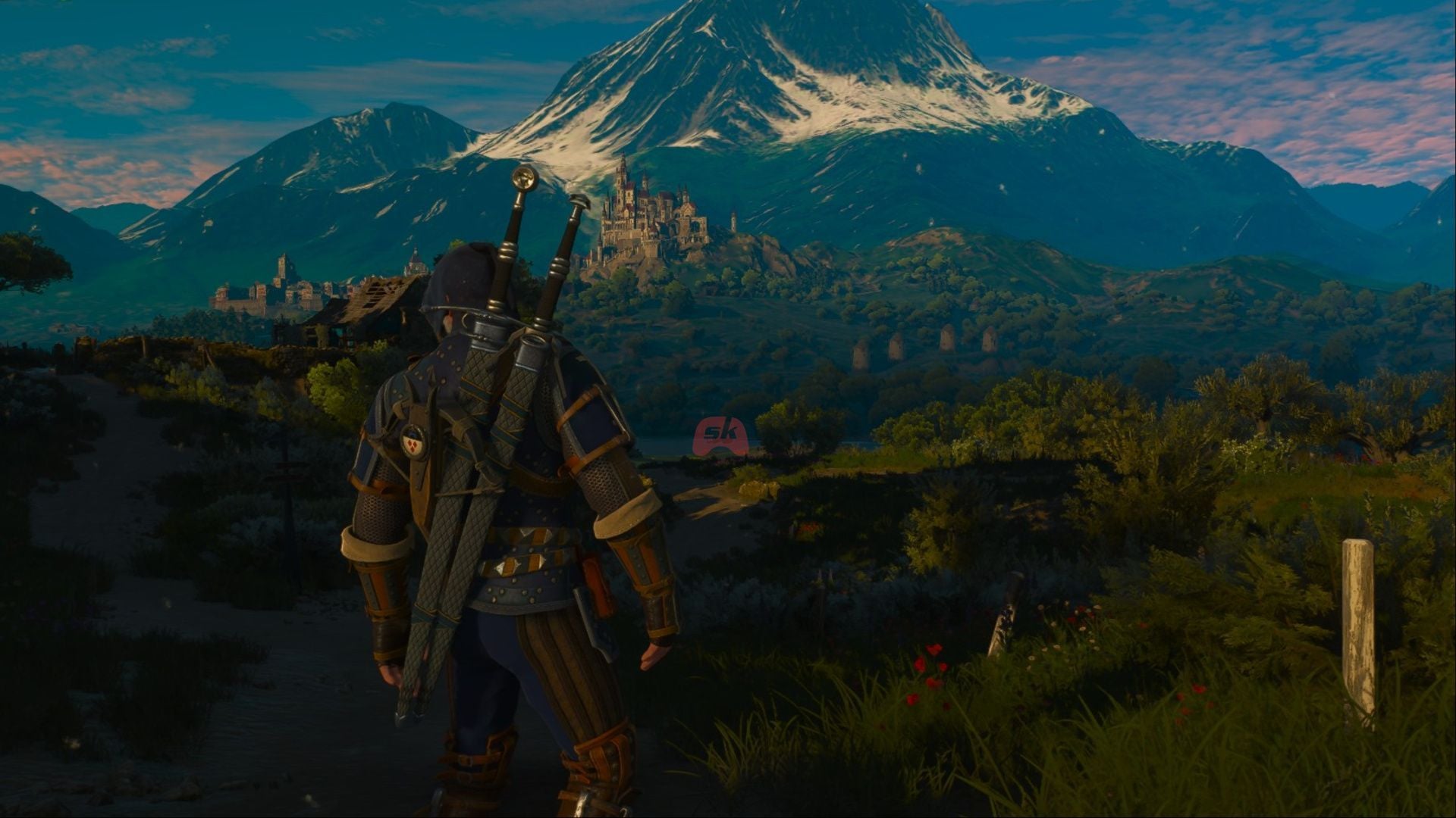 Best Euphoria build in The Witcher 3 Wild Hunt
