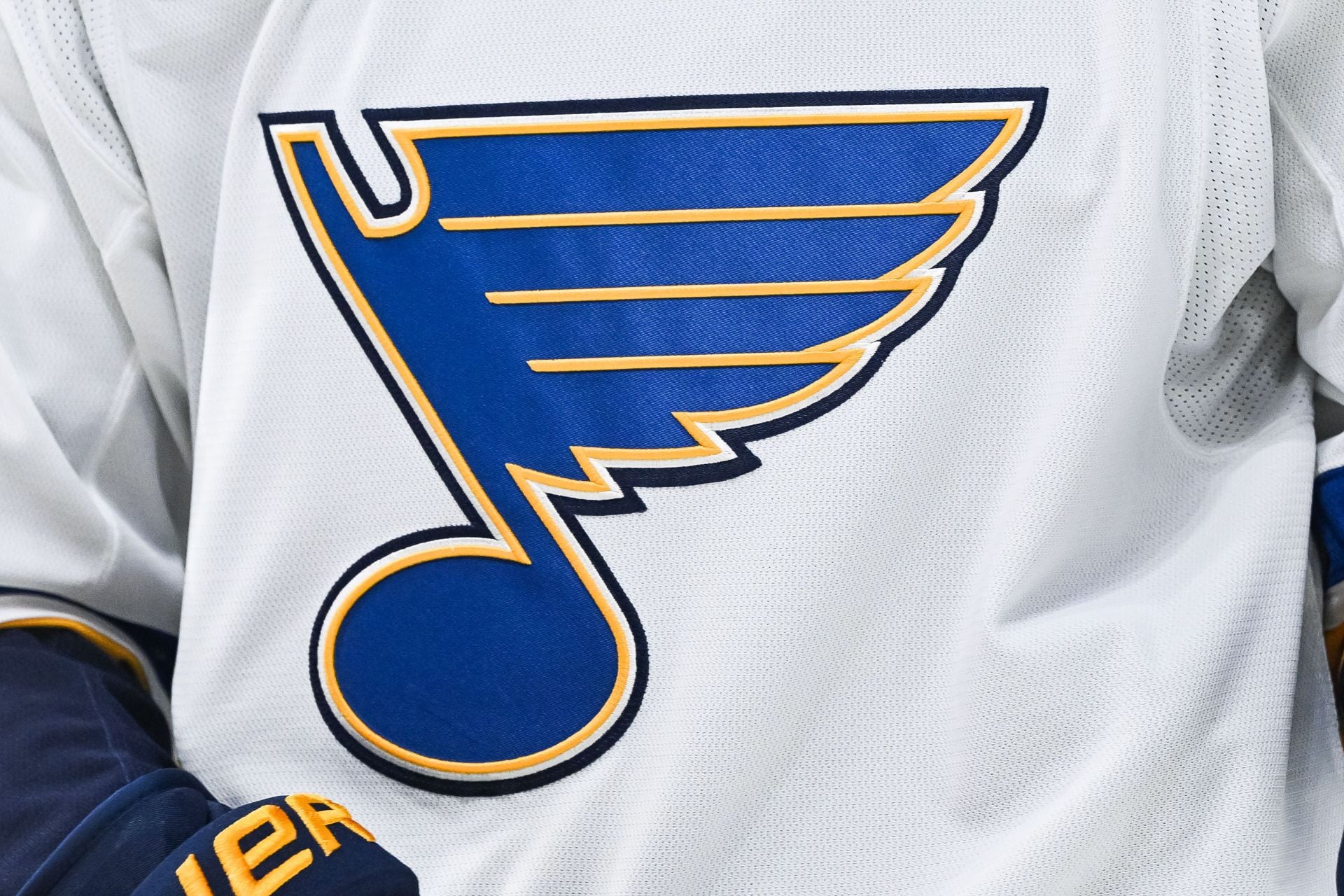 St. Louis Blues Statement: Arena Protest Fallout [Confirmed]