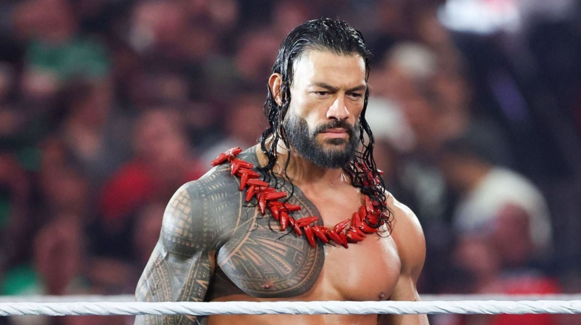BREAKING: WWE Makes Shocking Change to Roman Reigns vs. LA Knight at Money in the Bank