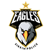 team-flag