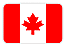 team-flag