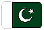 team-flag