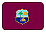 team flag