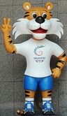 Commonwealth Games Delhi 2010: Indian Athletes shine as Hockey team in finals