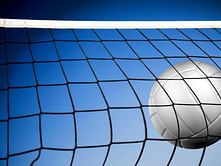 Volleyball: VFI unveils Indian Volley League