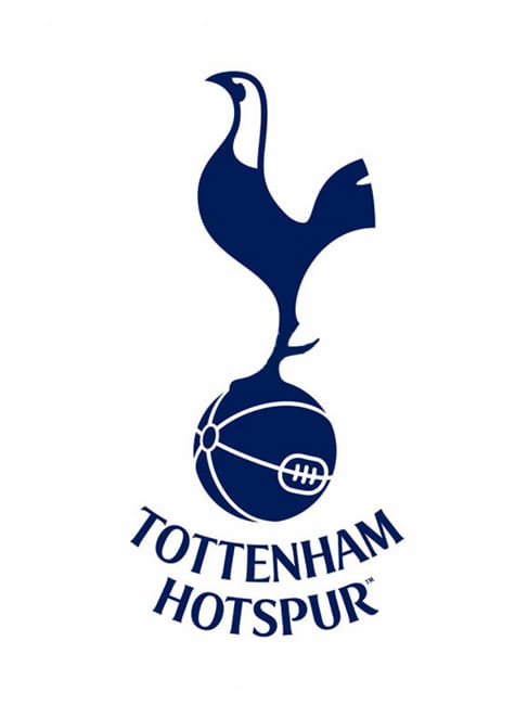Tottenham Hotspur keen to introduce Development Programmes in India