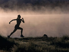 Why Run?