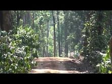 Maruti Suzuki Dakshin Dare 2012