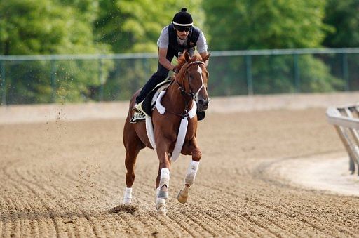 I&#039;ll Have Another, a chestnut colt, charged from behind to beat Bodemeister two weeks ago at Churchill Downs