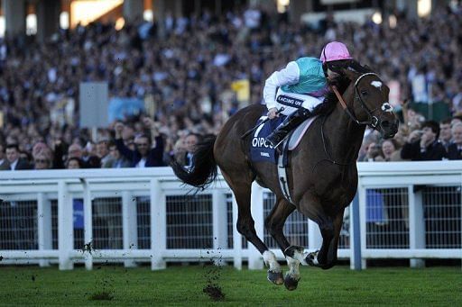 Frankel arrives at Ascot with official endorsement as the world&#039;s best racehorse