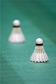 Japanese shuttler wins Russian Open