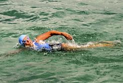 American braves sharks to swim from Cuba to Florida
