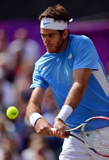 Argentina's Juan Martin del Potro