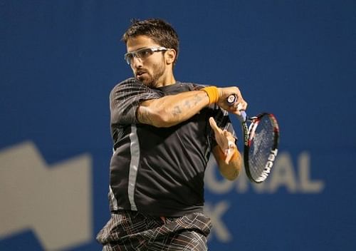 Janko Tipsarevic was defeated by compatriot Novak Djokovic