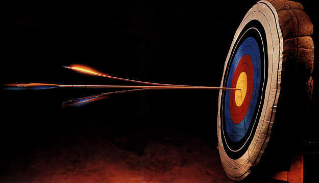 Follow national sports code for elections, high court tells archery body