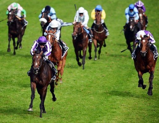 Camelot (left) came to challenge but never threatened to add the race to the 2000 Guineas and the Epsom Derby