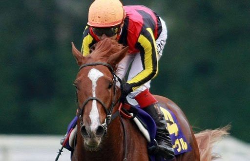 Orfevre racing in Kyoto last year