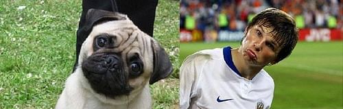 Arshavin Lookalike