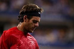 Del Potro wins Vienna, closes in on London
