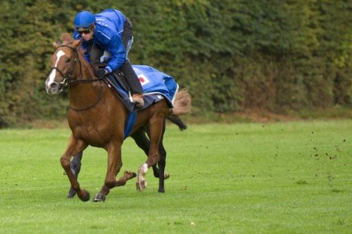 Orfevre has a habit of &#039;switching off&#039; in races