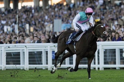 Tom Queally riding Frankel to win the Queen Elizabeth II Stakes in 2011