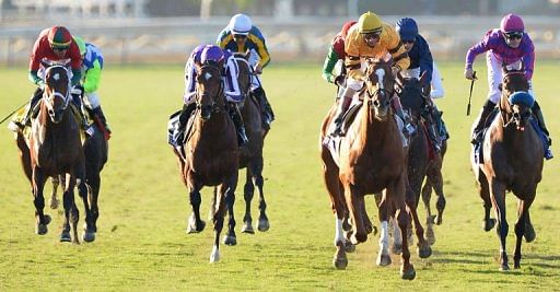 Jockey John Velazquez on Wise Dan (2R) rides for victory at the Breeders&#039; Cup Mile