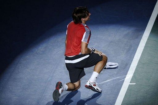 David Ferrer celebrates after winning the match