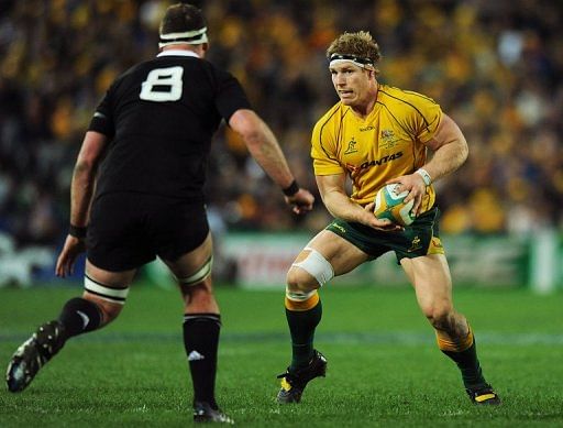 Australia&#039;s back-row star David Pocock has been ruled out of the Cook Cup Test match with a calf injury