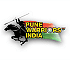 Pune Warriors India Cricket