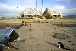 Putin orders Sochi check after earthquakes