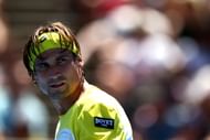 David Ferrer