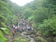 556441_320936851331187_1625748678_n