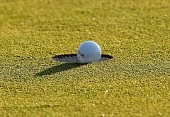 Vani takes lead in Hero golf