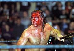 WWE beckons its sole survivor
