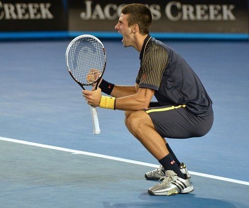 Serbia&#039;s Novak Djokovic wins the Australian Open tennis tournament in Melbourne on January 27, 2013