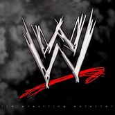 WWE: Five matches that changed the business