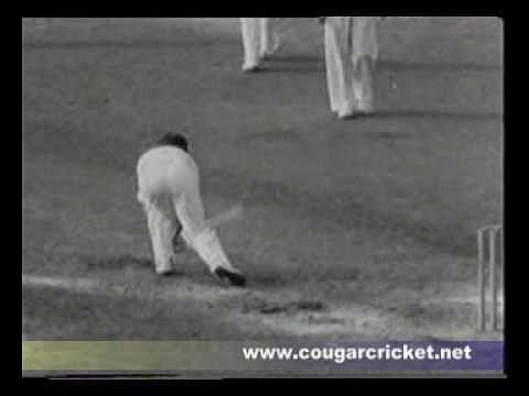 Video: Don Bradman's last innings