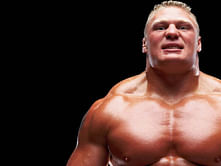 Possible Elimination Chamber 2013 match card