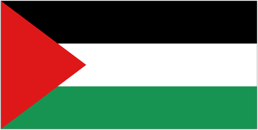 Palestine National Football Team