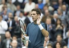 Del Potro breezes past Monfils