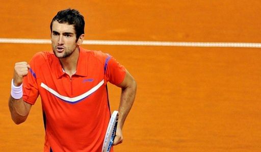 Croatia&#039;s Marin Cilic, February 3, 2013, in Turin